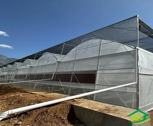 Strawberry greenhouse project