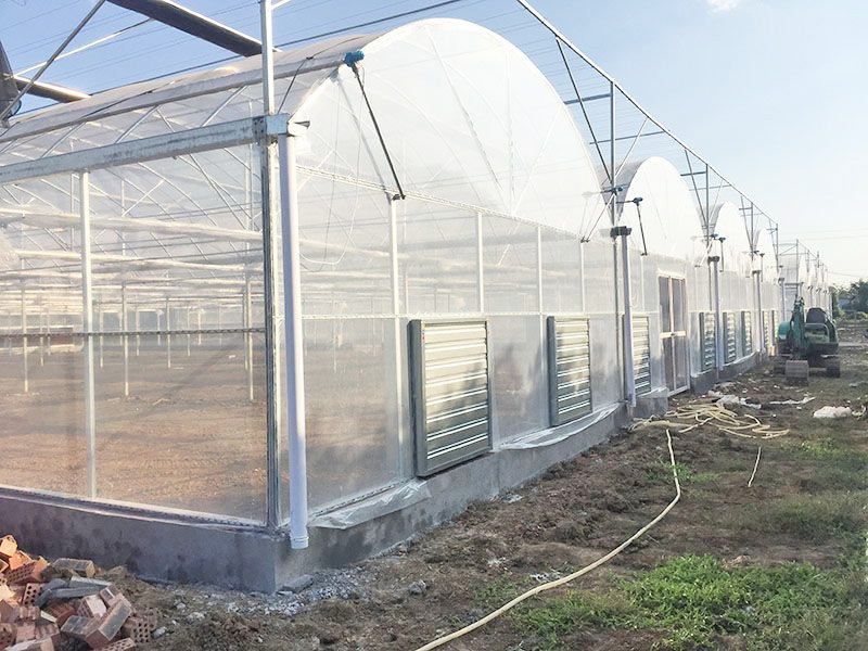 Multi Span Film Greenhouse