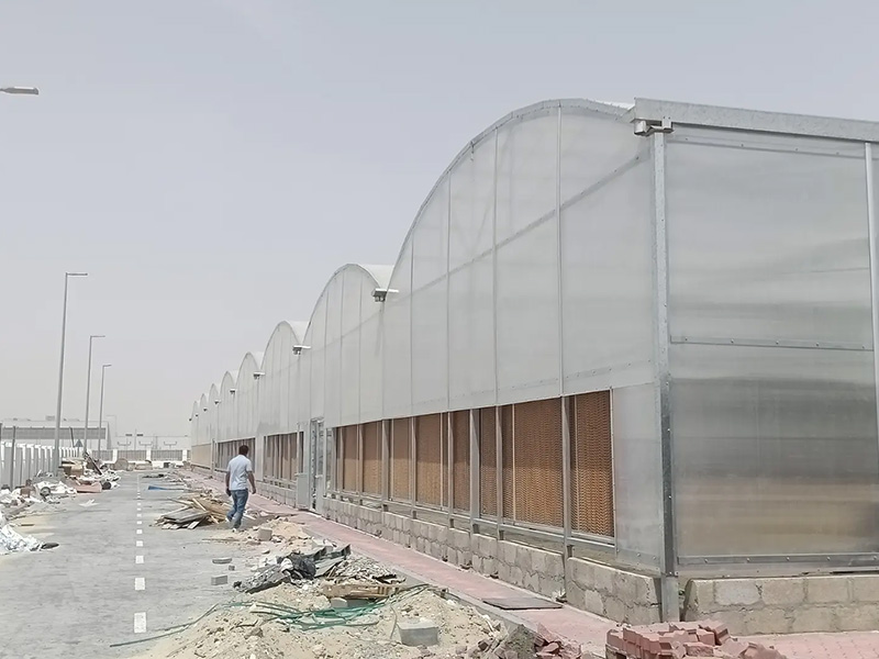 6mm polycarbonate sheet Greenhouse